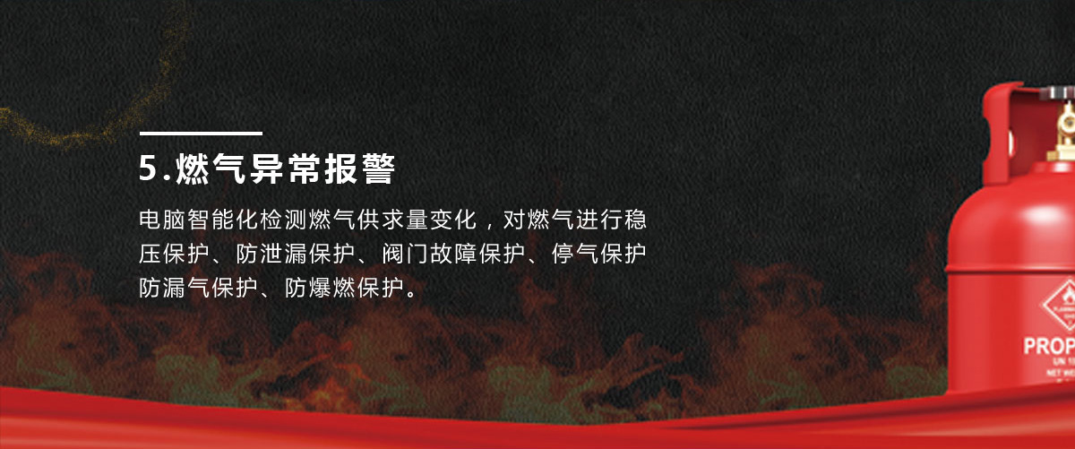 圣勞倫斯壁掛爐 圣勞倫斯壁掛爐
